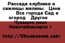 Рассада клубники и саженцы малины › Цена ­ 10 - Все города Сад и огород » Другое   . Чувашия респ.,Новочебоксарск г.